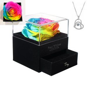 RAINBOW Preserved Real Rose with Sterling Silver Necklace for Valentine's Day